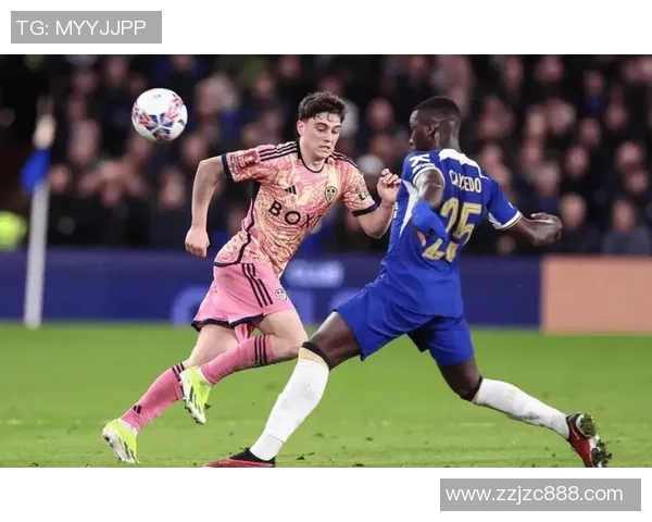 桑德兰对阵利兹联精彩直播全程回顾与赛后分析